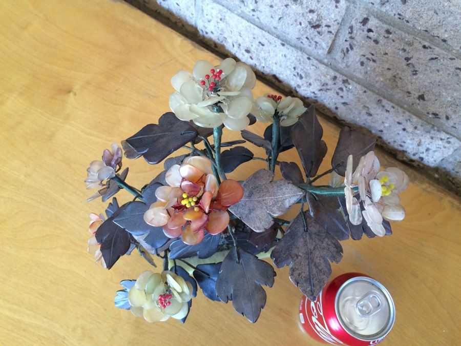 Large Jade Tree [Photo 15]