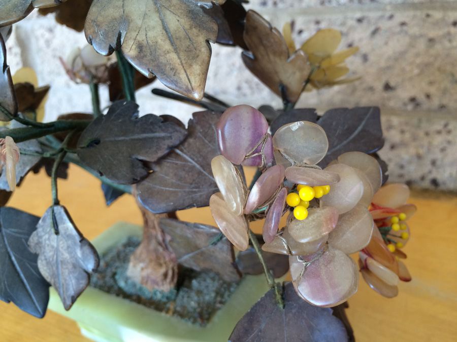 Large Jade Tree [Photo 6]