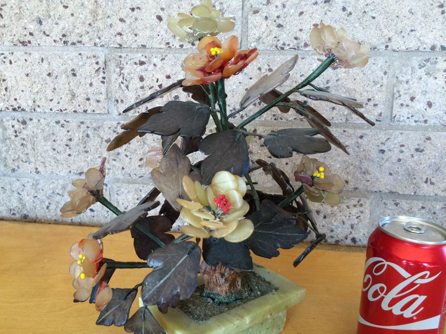 Large Jade Tree [Photo 12]