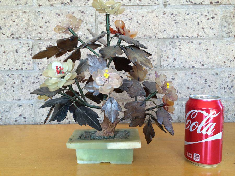 Large Jade Tree [Photo 1]