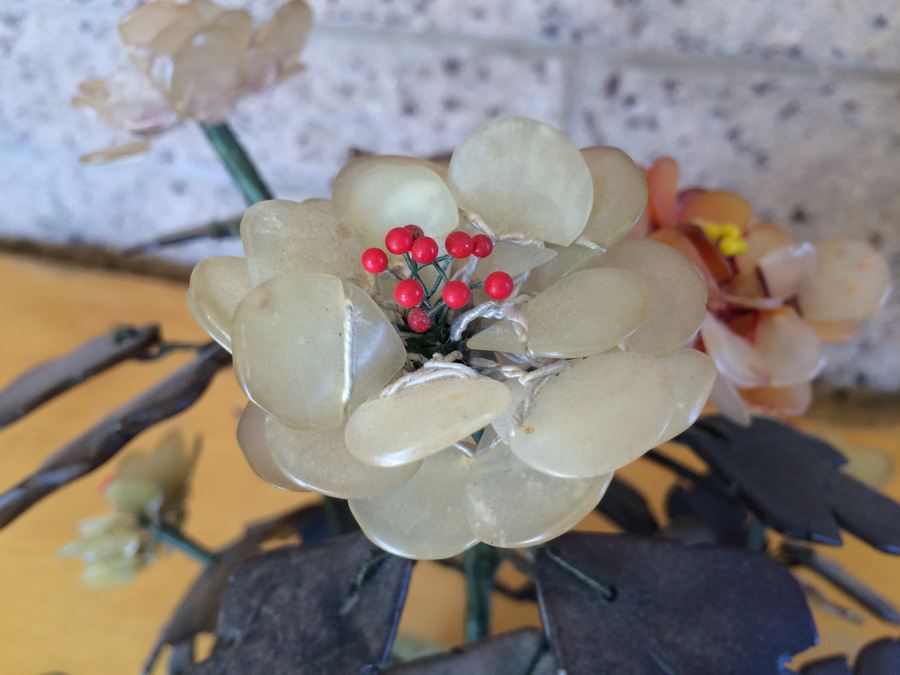 Large Jade Tree [Photo 7]