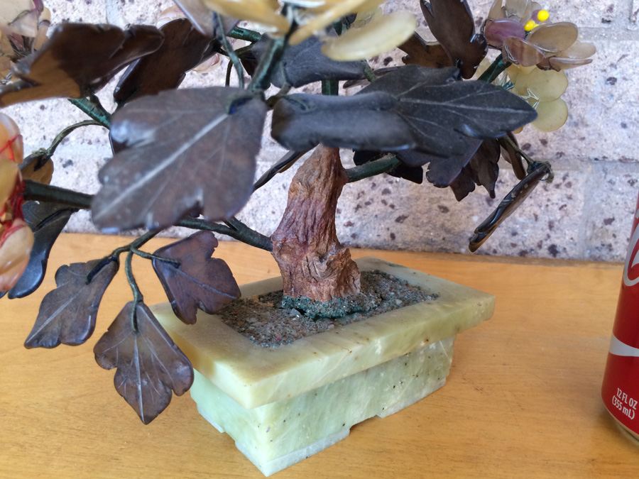 Large Jade Tree [Photo 11]