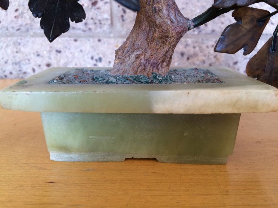 Large Jade Tree [Photo 2]