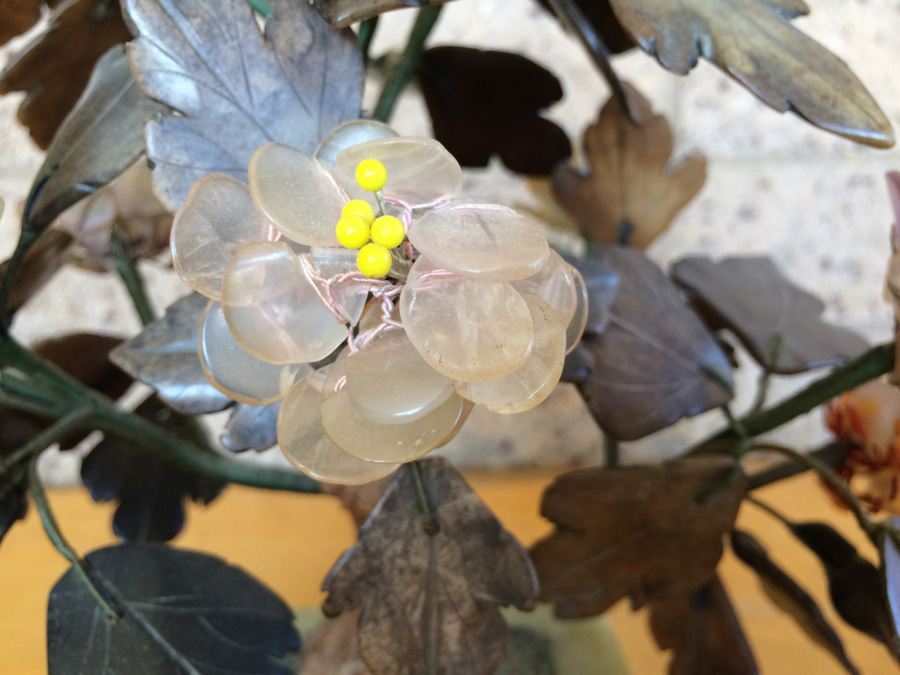 Large Jade Tree [Photo 5]