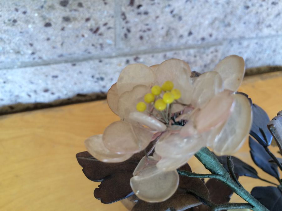 Large Jade Tree [Photo 8]