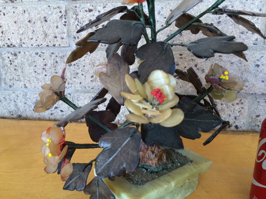 Large Jade Tree [Photo 13]