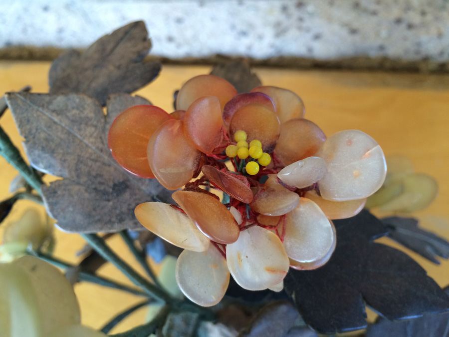 Large Jade Tree [Photo 10]