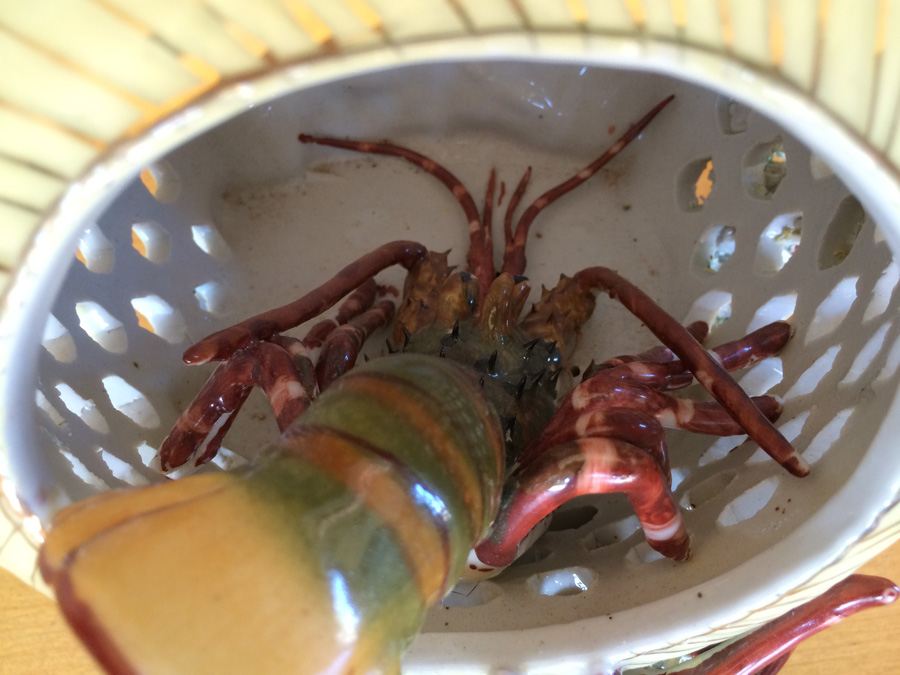 Large Unique Pottery with Multiple Lobsters [Photo 11]