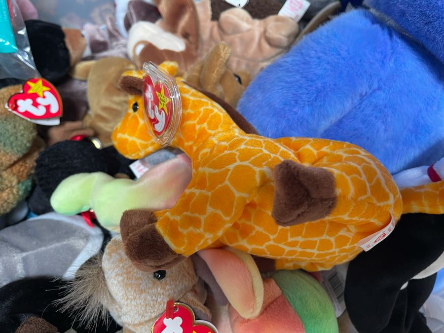 Ty Beanie Baby Lot - See Photos [Photo 11]