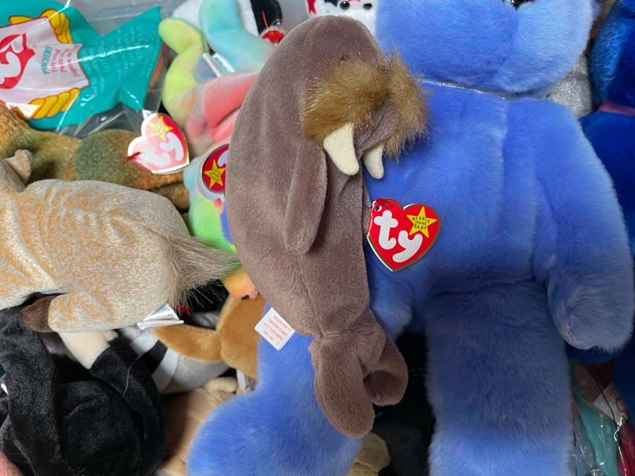 Ty Beanie Baby Lot - See Photos [Photo 6]