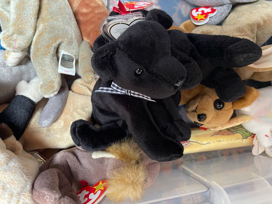 Ty Beanie Baby Lot - See Photos [Photo 24]