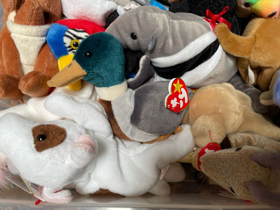 Ty Beanie Baby Lot - See Photos [Photo 4]
