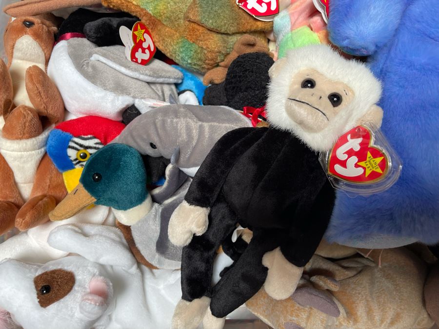 Ty Beanie Baby Lot - See Photos [Photo 3]
