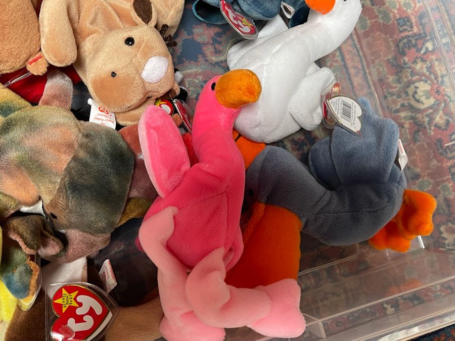 Ty Beanie Baby Lot - See Photos [Photo 3]