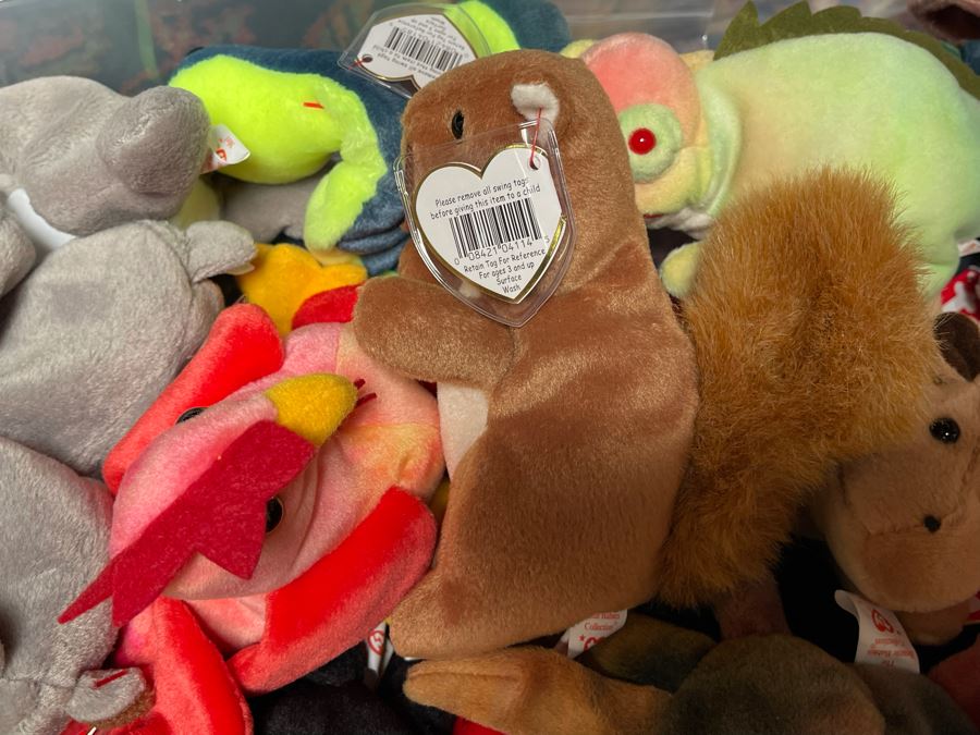 Ty Beanie Baby Lot - See Photos [Photo 7]