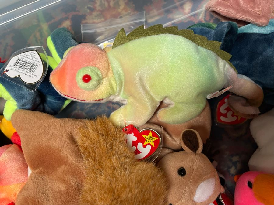 Ty Beanie Baby Lot - See Photos [Photo 6]