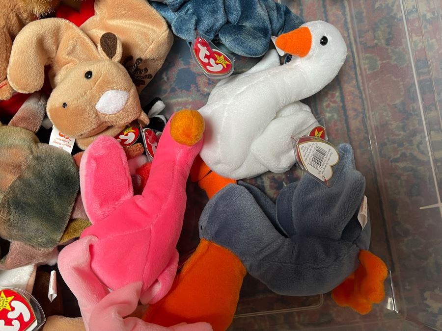 Ty Beanie Baby Lot - See Photos [Photo 4]