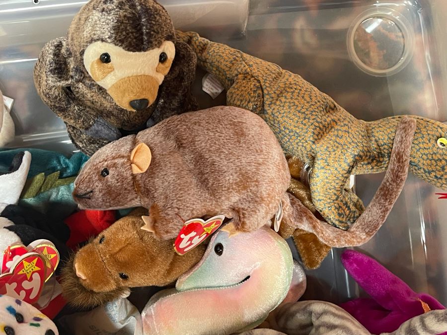 Ty Beanie Baby Lot - See Photos [Photo 24]