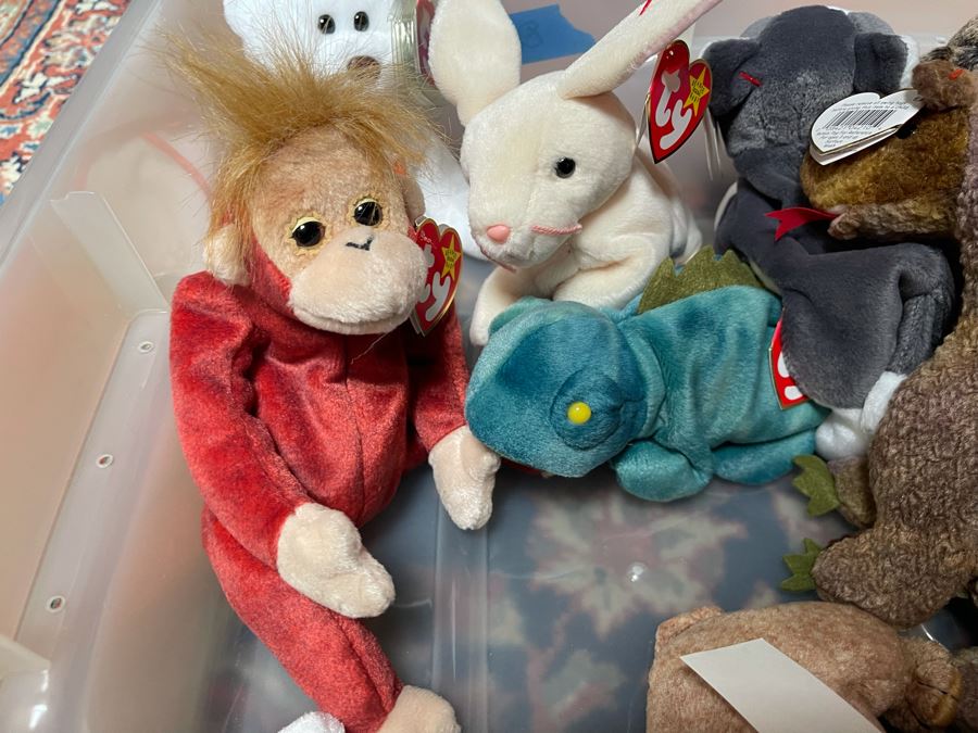 Ty Beanie Baby Lot - See Photos [Photo 13]