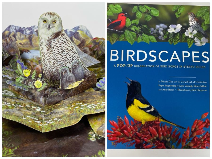 Birdscapes Pop-Up Book [Photo 1]