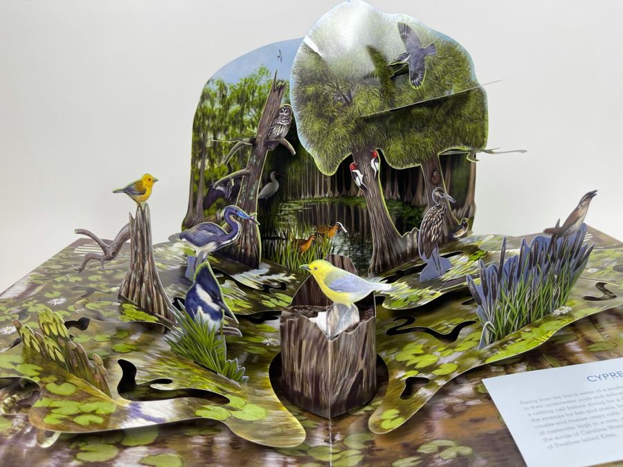 Birdscapes Pop-Up Book [Photo 11]