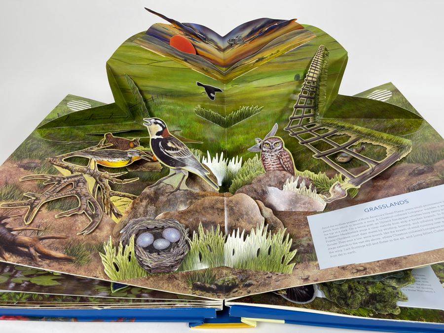 Birdscapes Pop-Up Book [Photo 12]