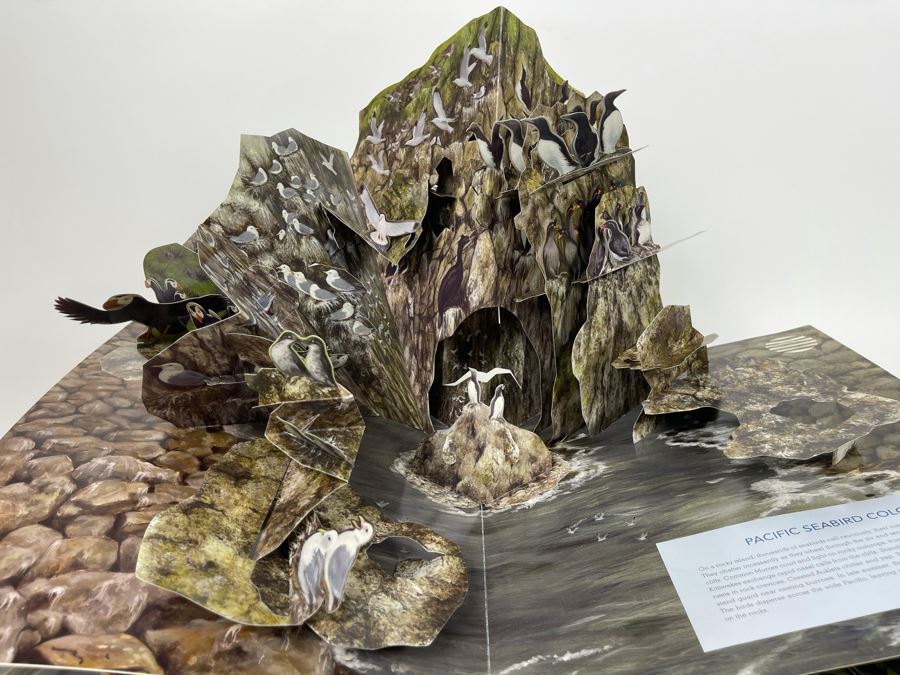 Birdscapes Pop-Up Book [Photo 8]