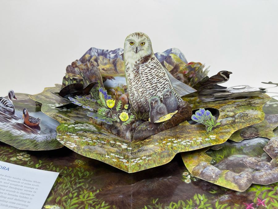 Birdscapes Pop-Up Book [Photo 10]