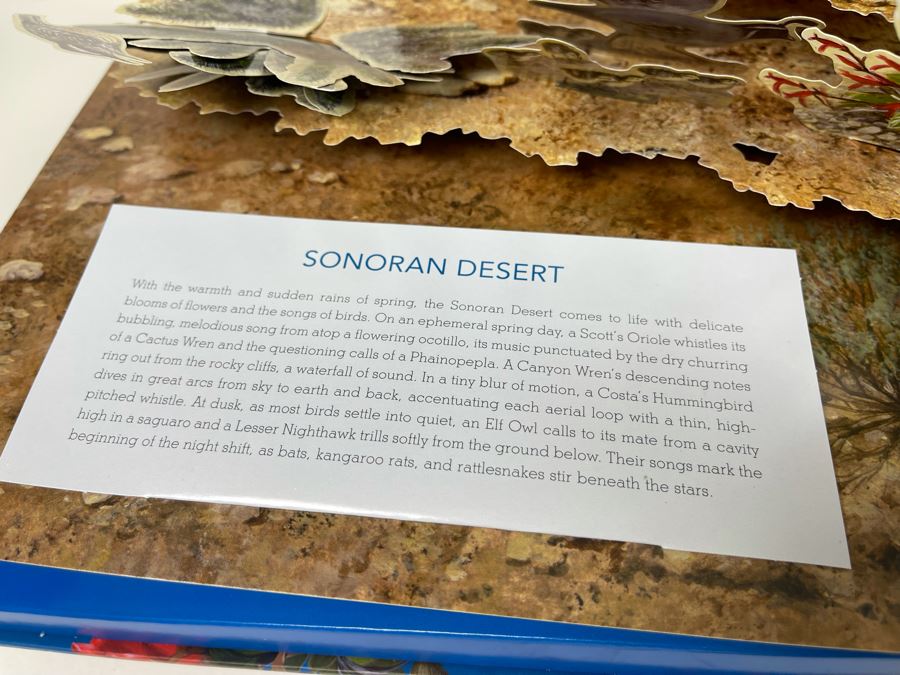 Birdscapes Pop-Up Book [Photo 7]