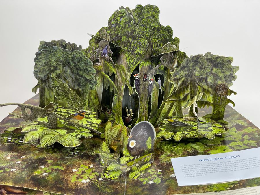 Birdscapes Pop-Up Book [Photo 13]