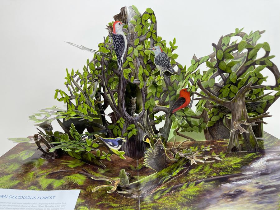 Birdscapes Pop-Up Book [Photo 9]