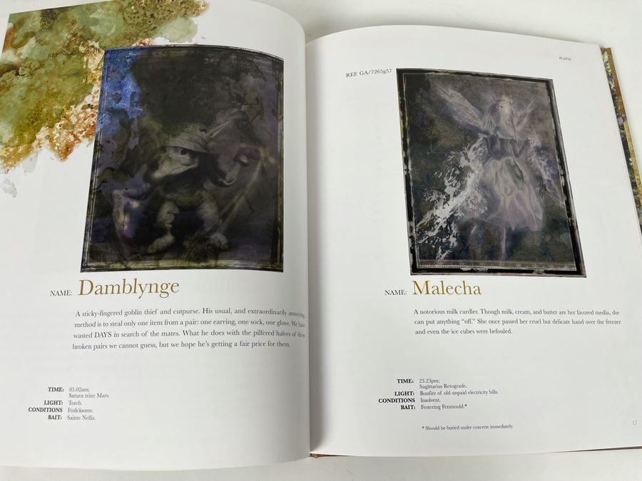 Brian Froud's Goblins! First Edition Book [Photo 5]