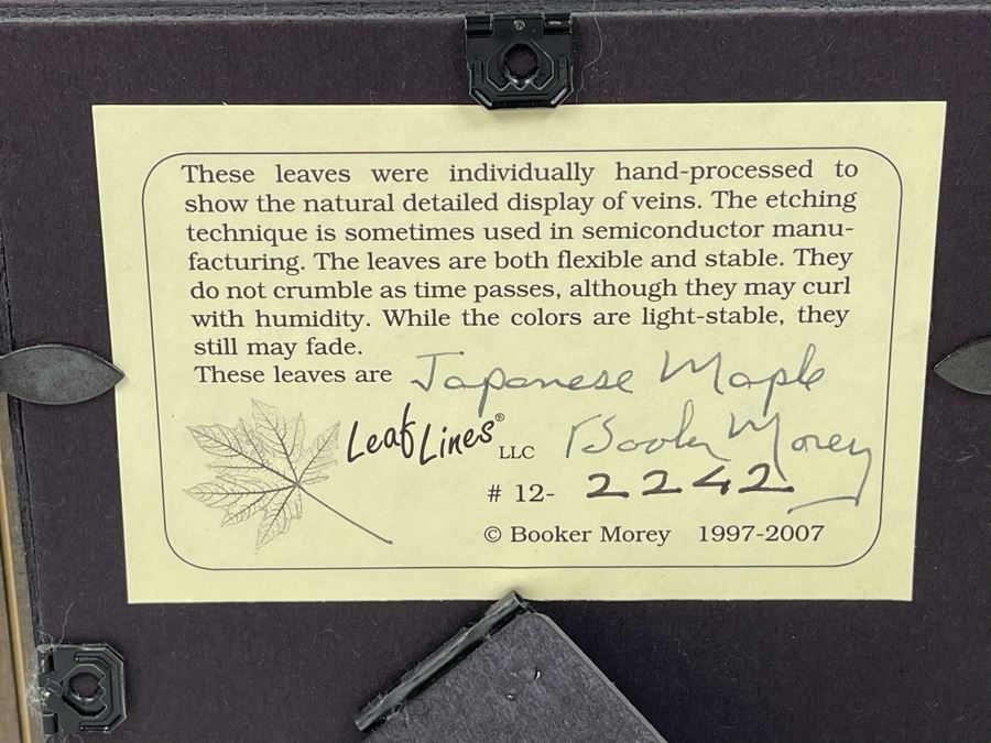 Signed Artist Booker Morey Japanese Maple Leaf Lines Shadowboxes Artwork 6.5W X 8.5H Retails $125 [Photo 9]