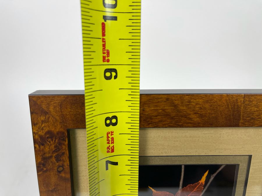 Signed Artist Booker Morey Japanese Maple Leaf Lines Shadowboxes Artwork 6.5W X 8.5H Retails $125 [Photo 11]