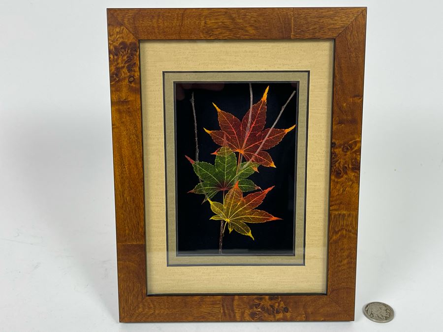 Signed Artist Booker Morey Japanese Maple Leaf Lines Shadowboxes Artwork 6.5W X 8.5H Retails $125 [Photo 2]