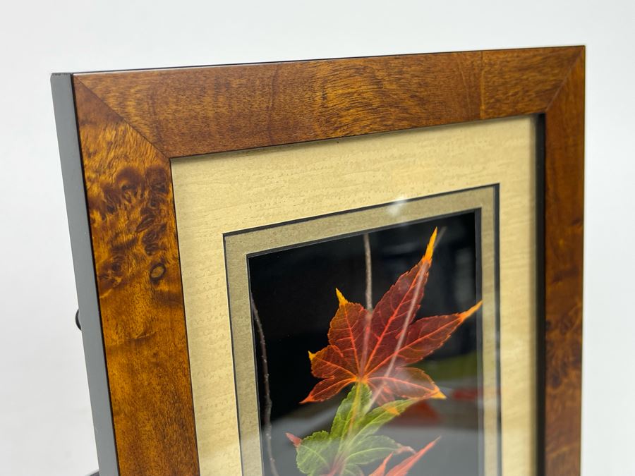 Signed Artist Booker Morey Japanese Maple Leaf Lines Shadowboxes Artwork 6.5W X 8.5H Retails $125 [Photo 12]