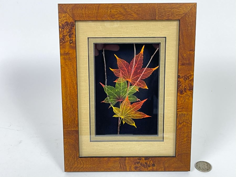 Signed Artist Booker Morey Japanese Maple Leaf Lines Shadowboxes Artwork 6.5W X 8.5H Retails $125 [Photo 1]