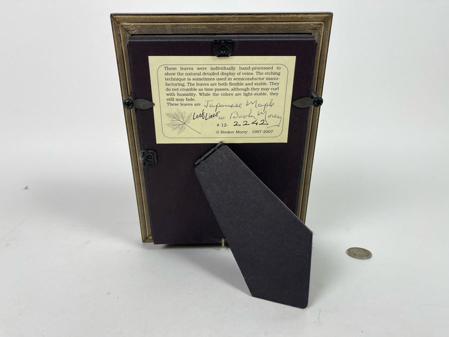 Signed Artist Booker Morey Japanese Maple Leaf Lines Shadowboxes Artwork 6.5W X 8.5H Retails $125 [Photo 8]