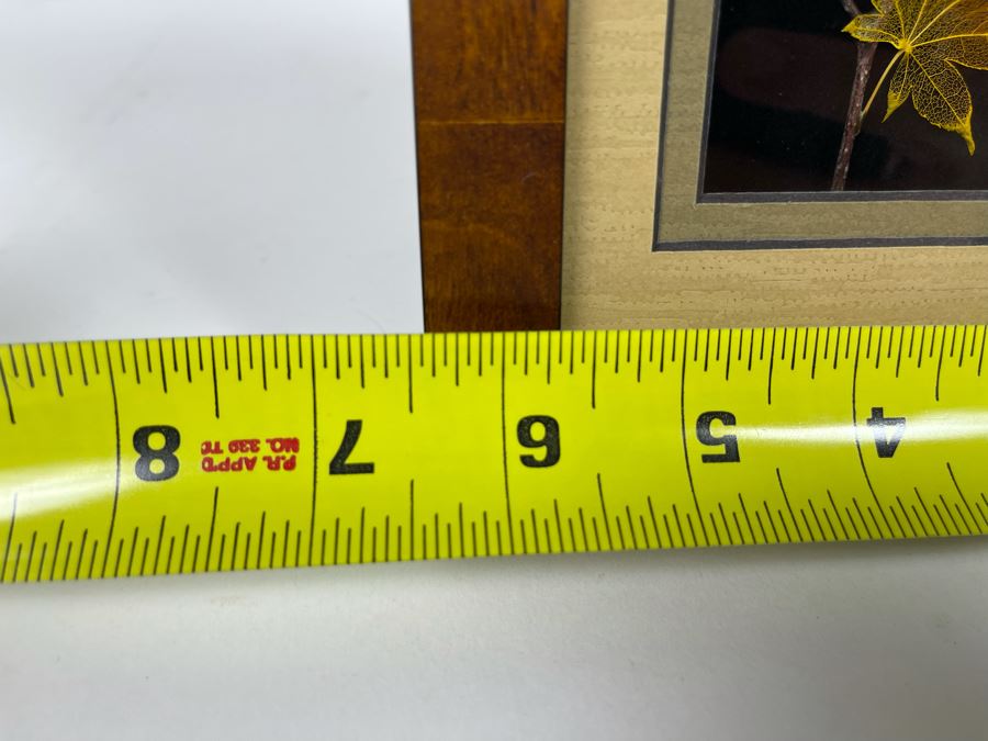 Signed Artist Booker Morey Japanese Maple Leaf Lines Shadowboxes Artwork 6.5W X 8.5H Retails $125 [Photo 10]