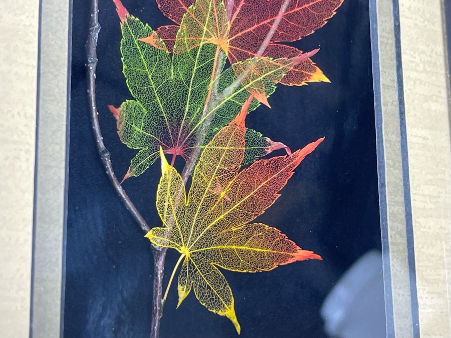 Signed Artist Booker Morey Japanese Maple Leaf Lines Shadowboxes Artwork 6.5W X 8.5H Retails $125 [Photo 7]