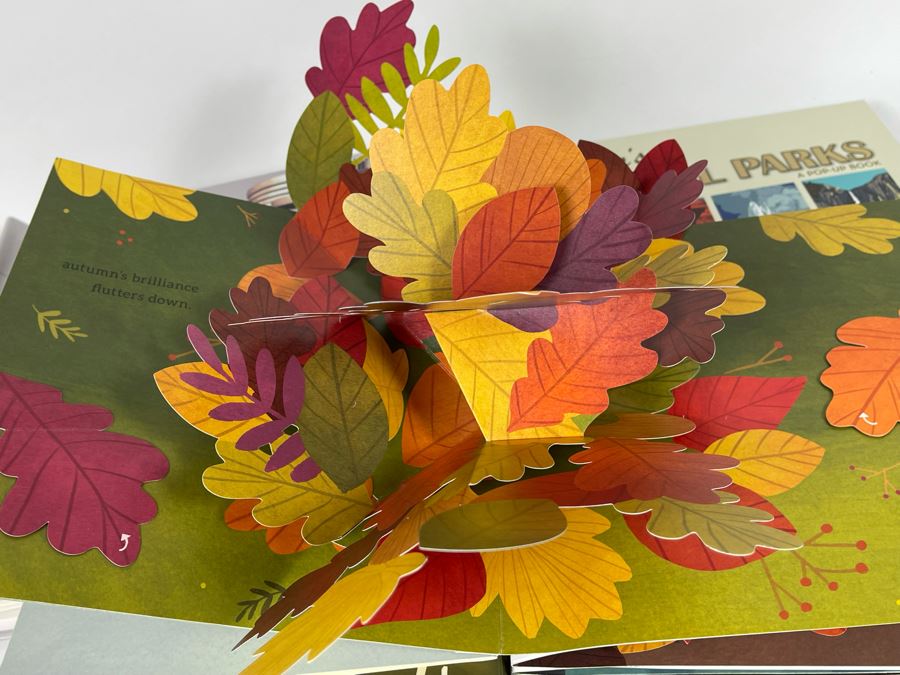 JUST ADDED - Pop-Up Book Collection: Fishing For The Moon By Lulu Hansen, Architecture, America's National Parks, Leaves And Charlie Brown It's The Great Pumpkin [Photo 12]