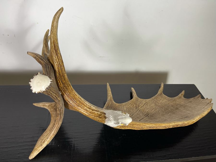 Impressive Large Shari Medley Hand Carved Moose Antler Sculpture Of ...