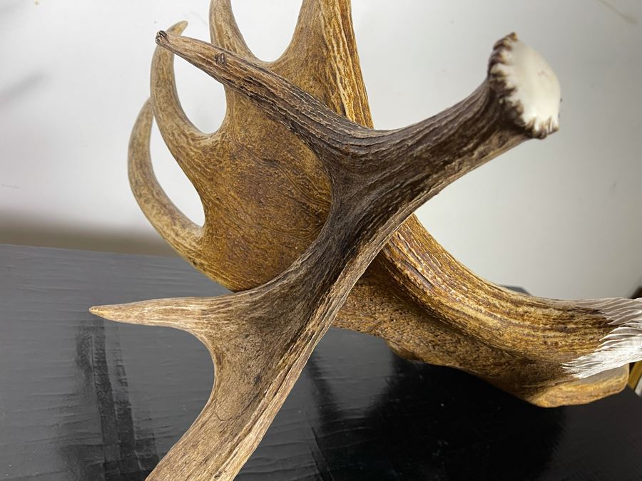 Hand Carved Moose Antler Moose