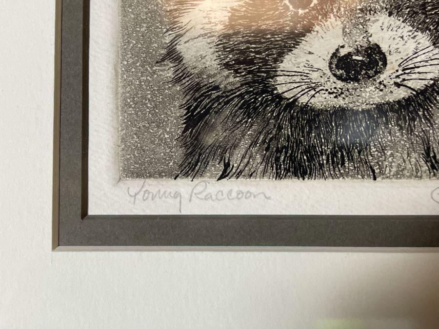 Nicely Framed Collection Of Various Nature Artwork Including Two Original Watercolor Paintings 16W X 24H [Photo 14]