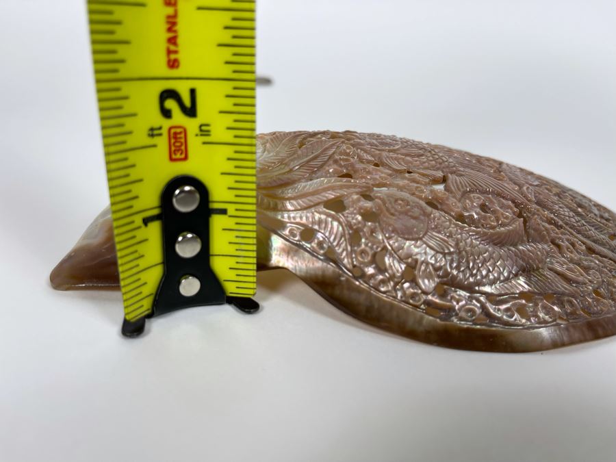 Intricately Carved Organic Abalone Shell Featuring Various Fish And Sea Turtle 8W X 4D X 1.5H [Photo 16]