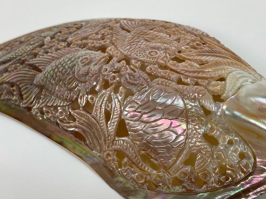 Intricately Carved Organic Abalone Shell Featuring Various Fish And Sea Turtle 8W X 4D X 1.5H [Photo 19]