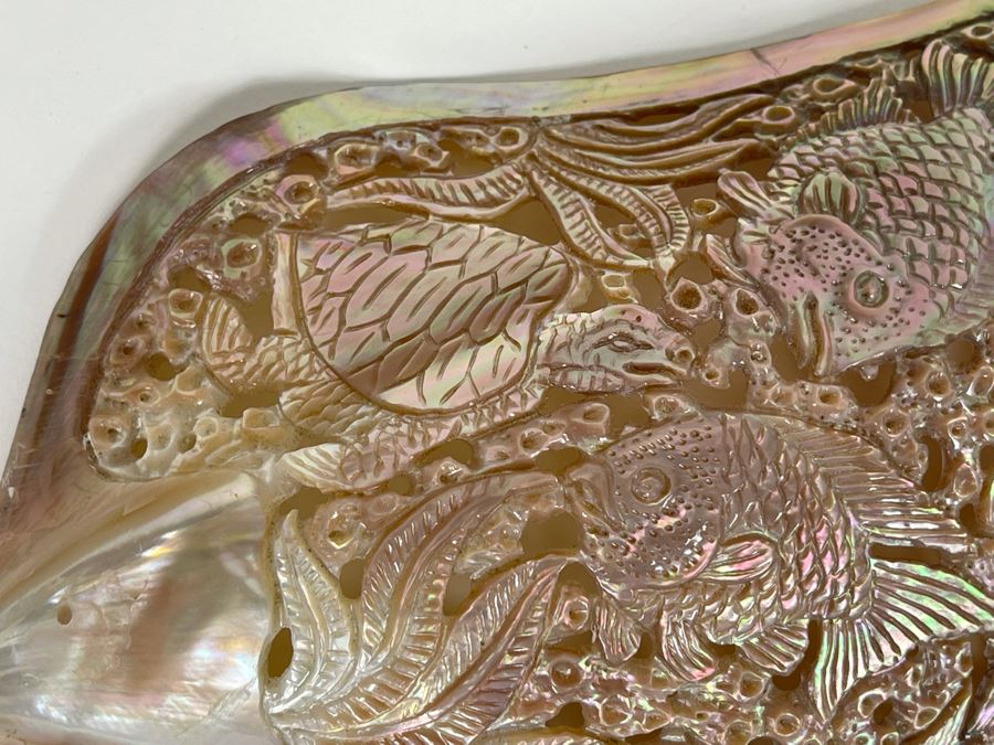 Intricately Carved Organic Abalone Shell Featuring Various Fish And Sea Turtle 8W X 4D X 1.5H [Photo 8]