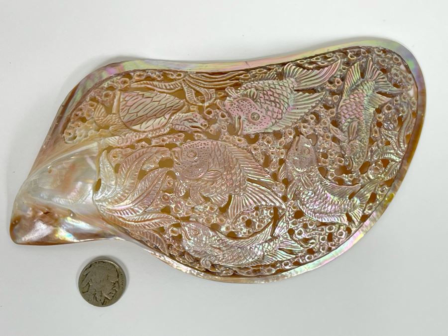 Intricately Carved Organic Abalone Shell Featuring Various Fish And Sea Turtle 8W X 4D X 1.5H