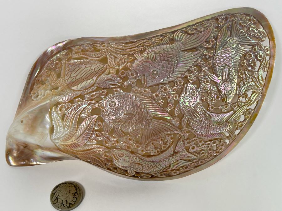 Intricately Carved Organic Abalone Shell Featuring Various Fish And Sea Turtle 8W X 4D X 1.5H [Photo 13]