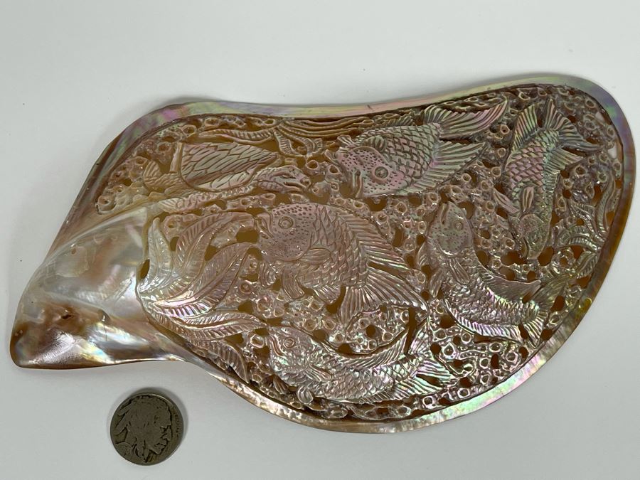 Intricately Carved Organic Abalone Shell Featuring Various Fish And Sea Turtle 8W X 4D X 1.5H [Photo 2]